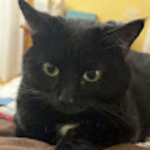 Meet your Posher, Jonathan